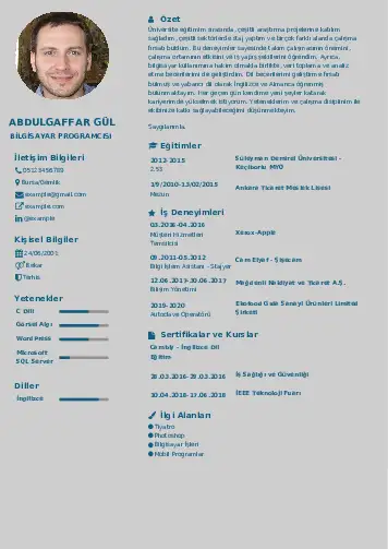 Bilgisayar Programcısı CV Örnekleri cv indir